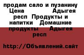 продам сало и пузанину › Цена ­ 150-200 - Адыгея респ. Продукты и напитки » Домашние продукты   . Адыгея респ.